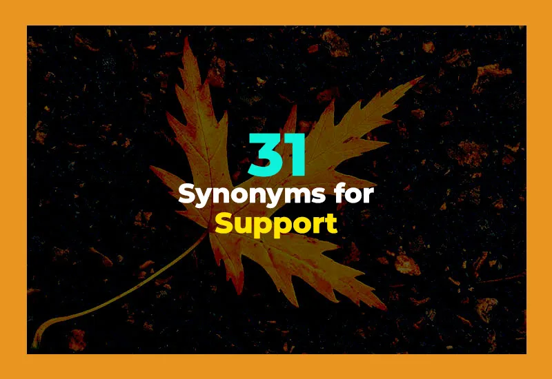 Synonyms for Support