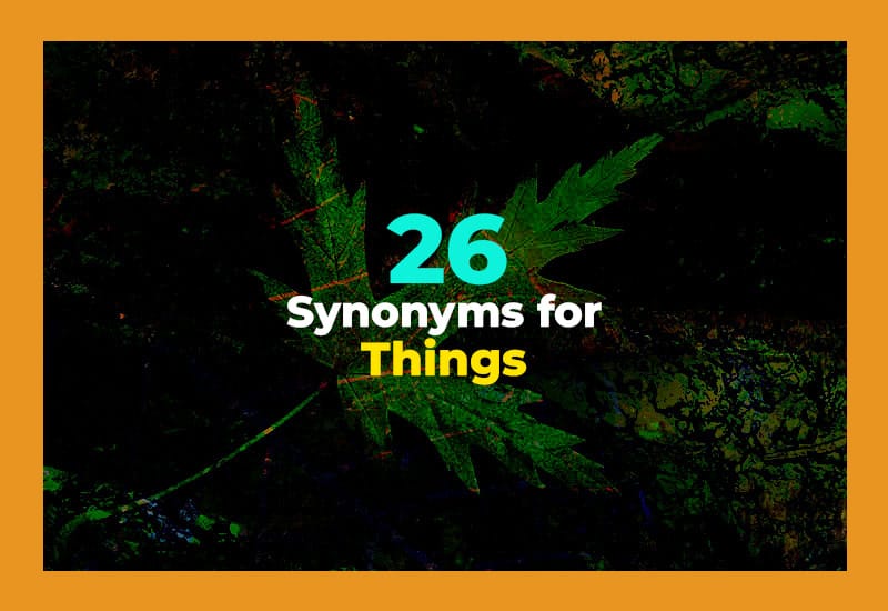 Synonyms for Things