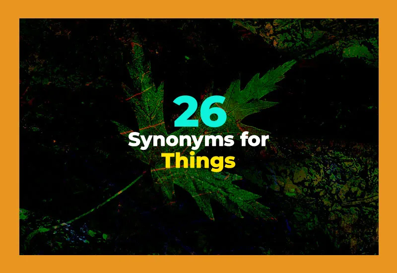 Synonyms for Things