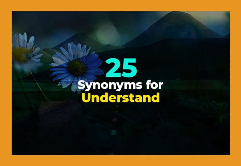 synonyms for understand