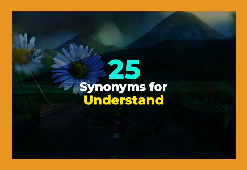 Synonyms for Understand