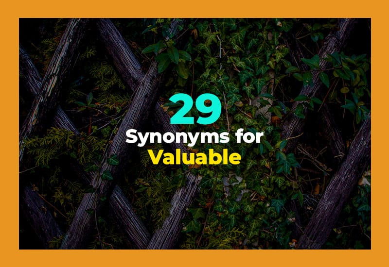 Synonyms for Valuable