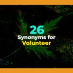 synonyms for volunteer