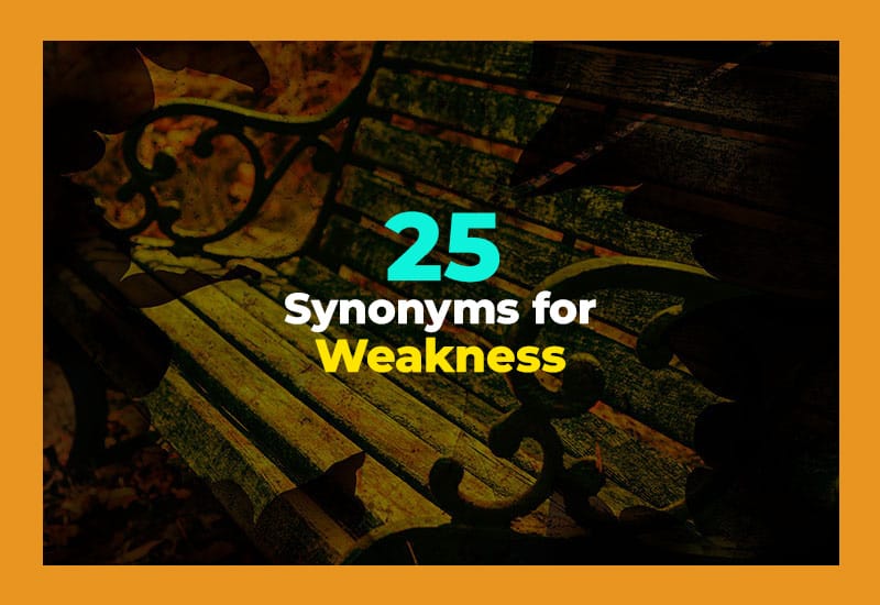 Synonyms for Weakness