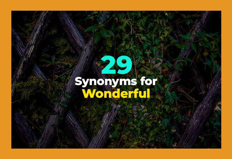 Synonyms for Wonderful