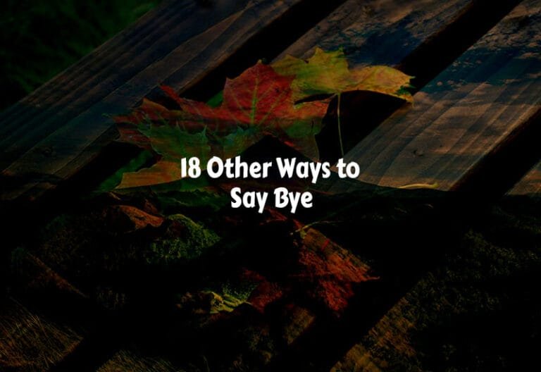 Different Ways to Say Bye