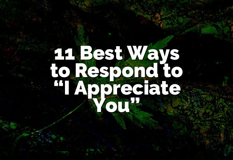 11 Best Ways to Respond to “I Appreciate You”
