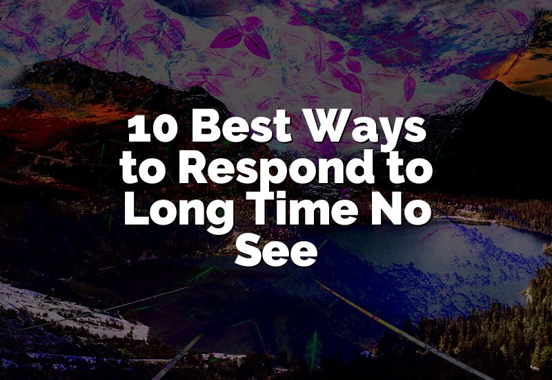 10 Best Ways to Respond to Long Time No See