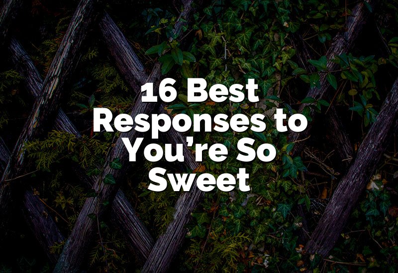 16 Best Responses to You’re So Sweet