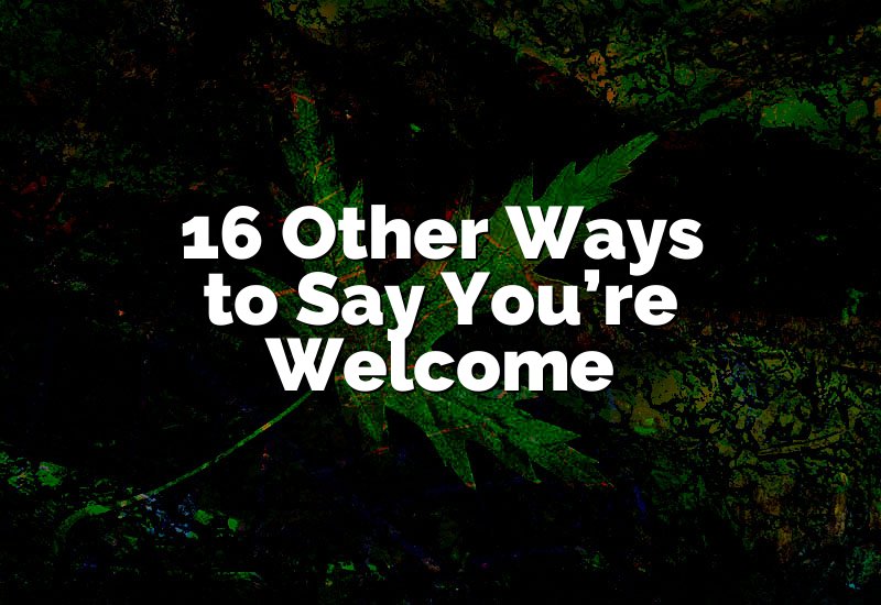 16 Other Ways to Say You're Welcome