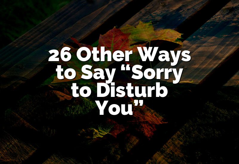26 Other Ways to Say “Sorry to Disturb You”