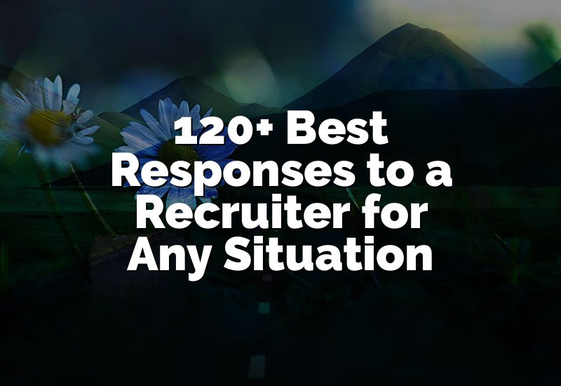 120+ Best Responses to a Recruiter for Any Situation
