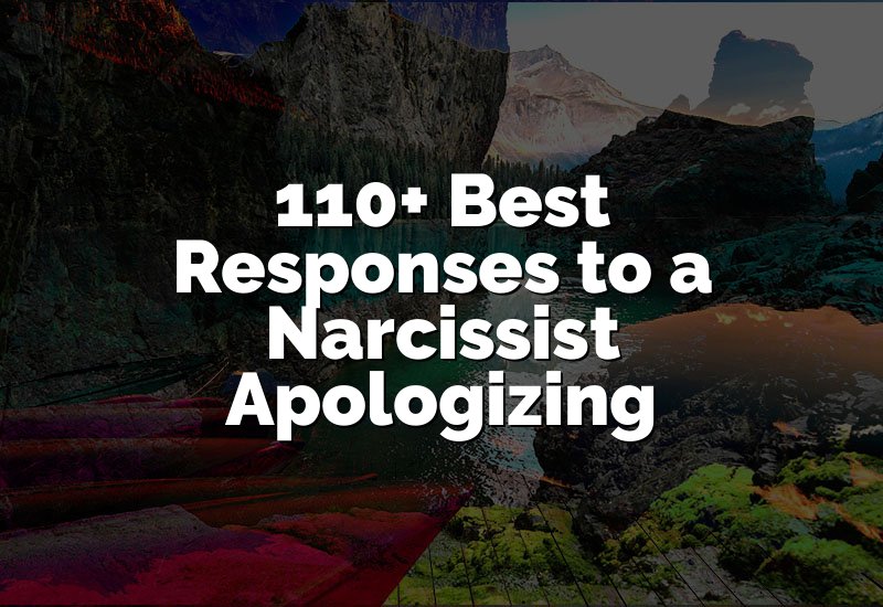 110+ Best Responses to a Narcissist Apologizing