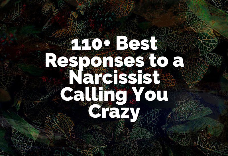 110+ Best Responses to a Narcissist Calling You Crazy