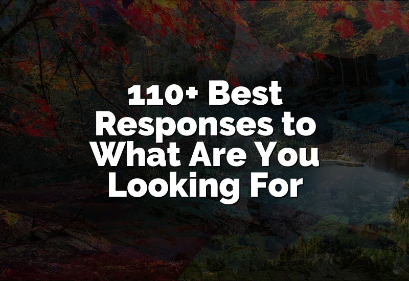 110+ Best Responses to What Are You Looking For