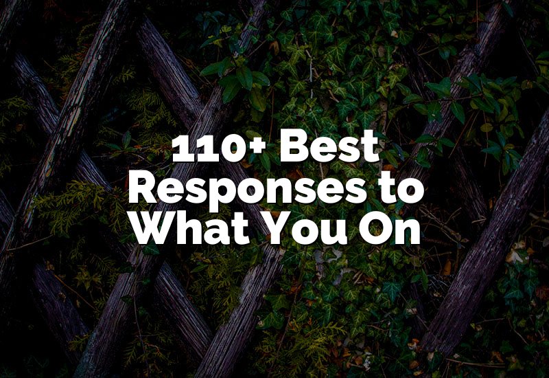 110+ Best Responses to What You On