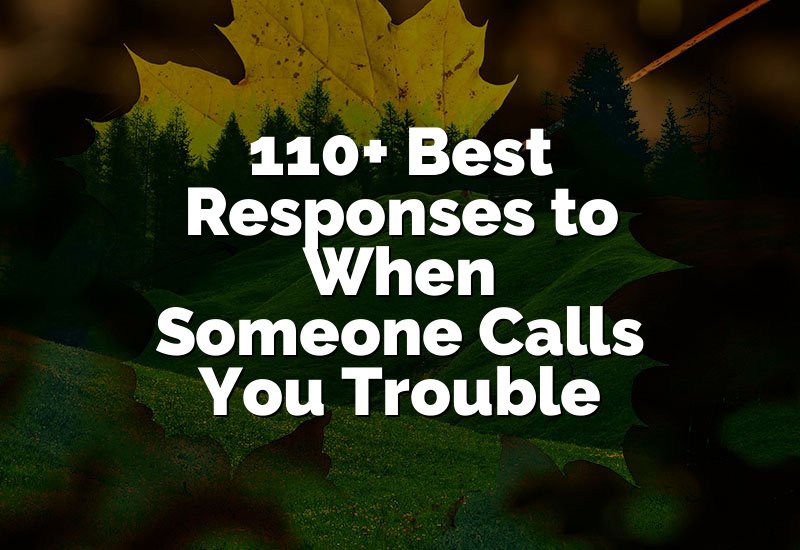 110+ Best Responses to When Someone Calls You Trouble