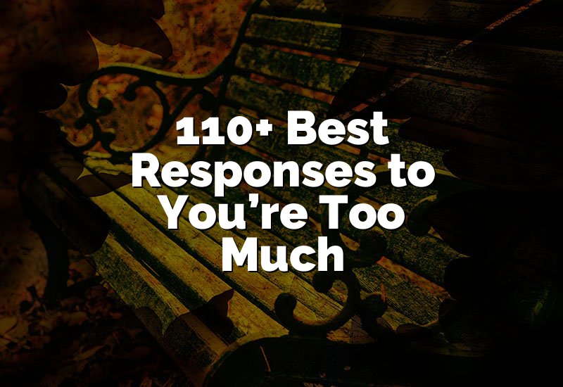 110+ Best Responses to You’re Too Much