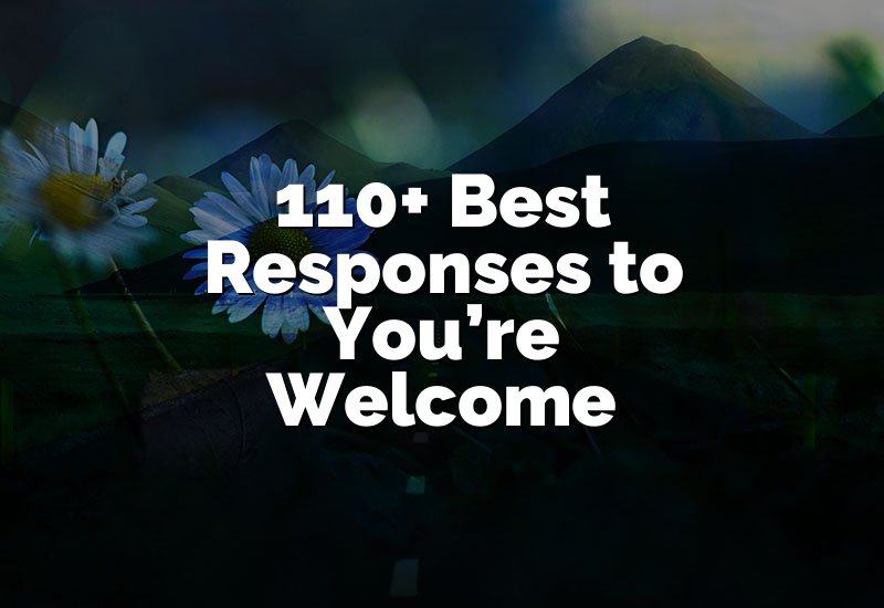 110+ Best Responses to You’re Welcome
