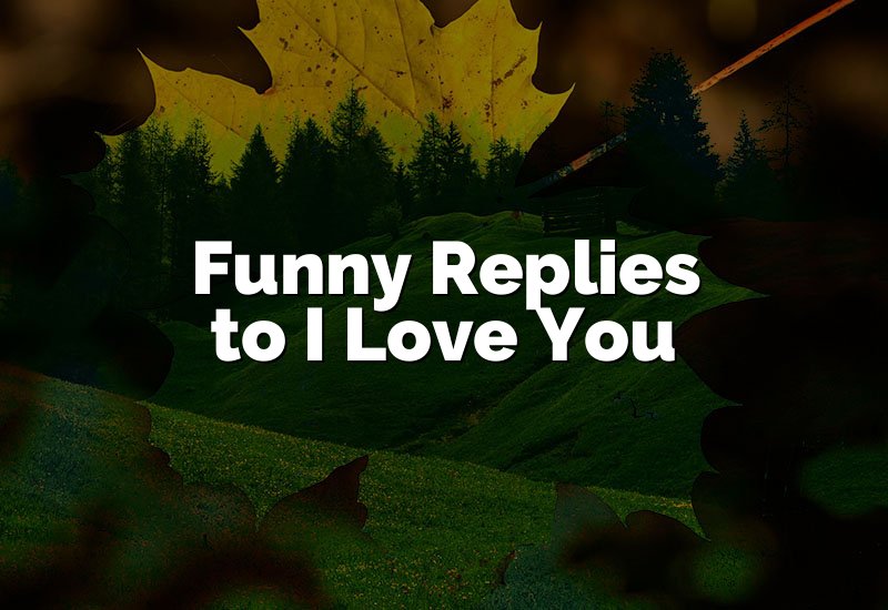 Funny Replies to I Love You