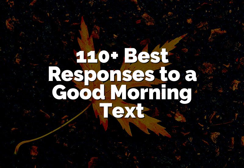 110+ Best Responses to a Good Morning Text