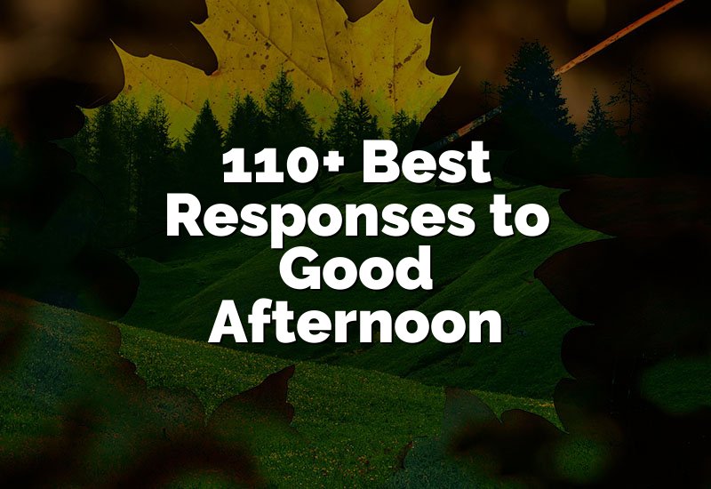 110+ Best Responses to Good Afternoon