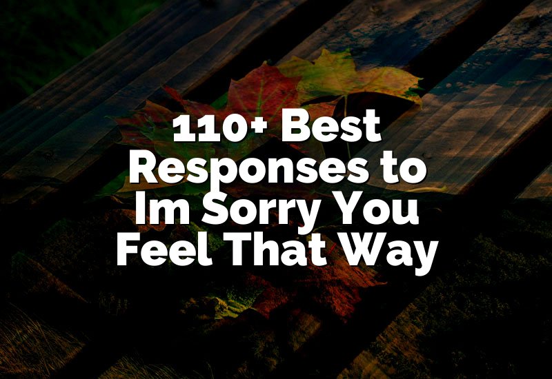 110+ Best Responses to Im Sorry You Feel That Way