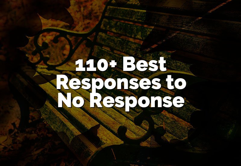 110+ Best Responses to No Response