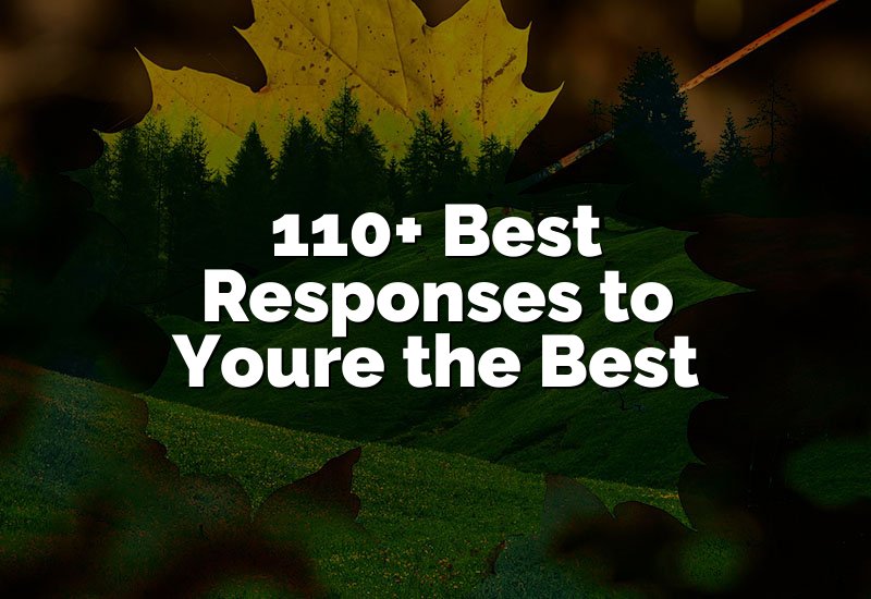 110+ Best Responses to Youre the Best