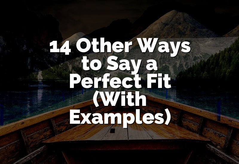 14 Other Ways to Say a Perfect Fit (With Examples)