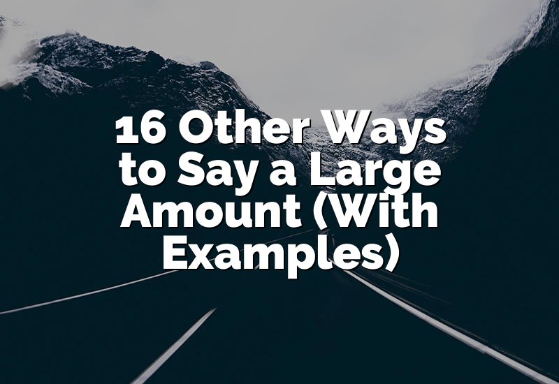 16 Other Ways to Say a Large Amount (With Examples)