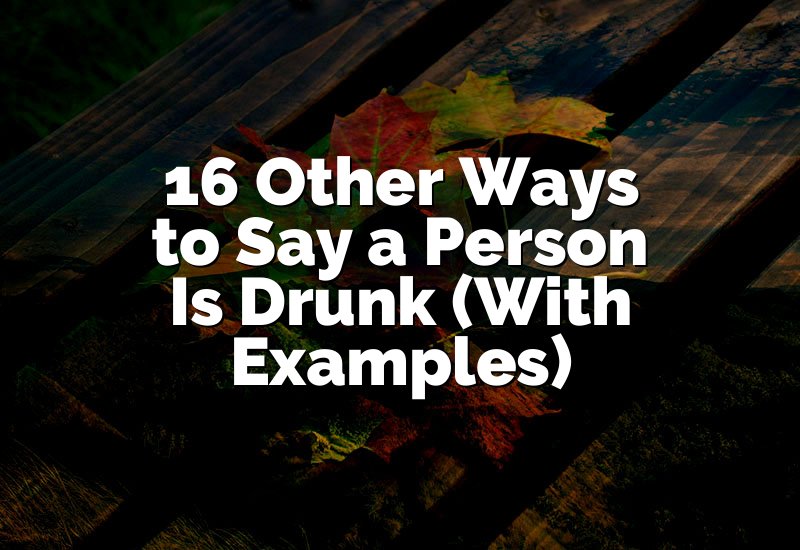 16 Other Ways to Say a Person Is Drunk (With Examples)