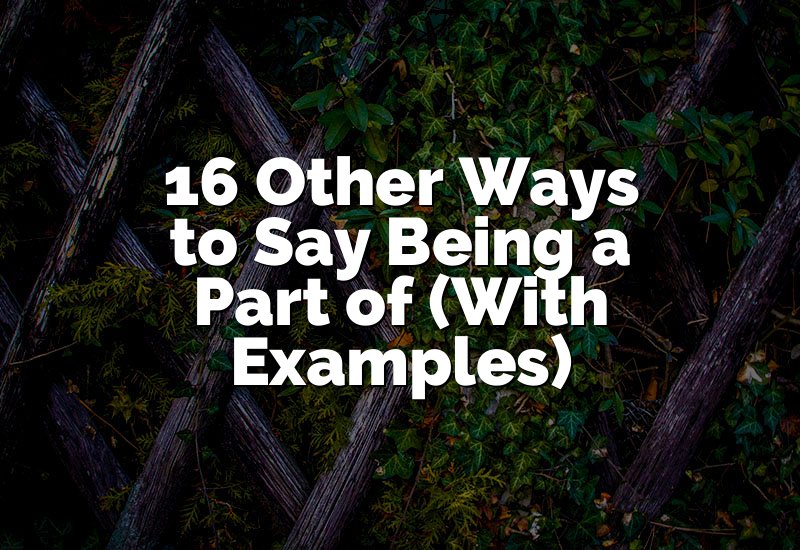 16 Other Ways to Say Being a Part of (With Examples)