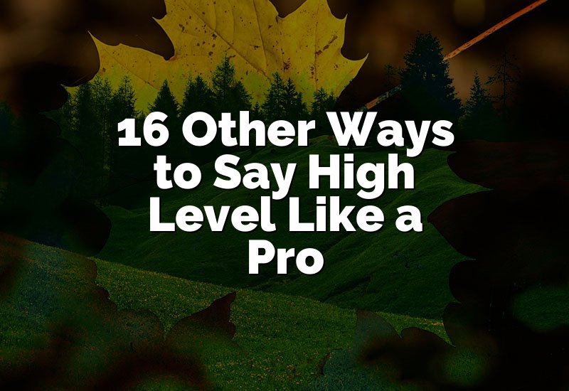 16 Other Ways to Say High Level Like a Pro