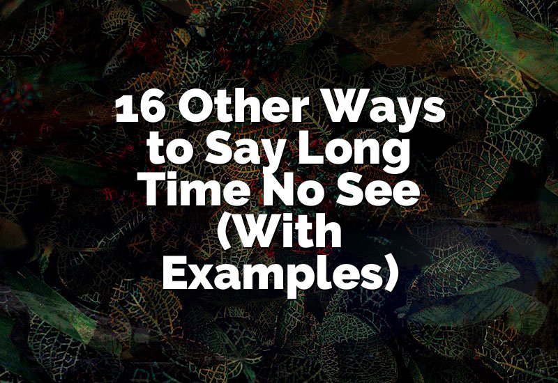 16 Other Ways to Say Long Time No See (With Examples)