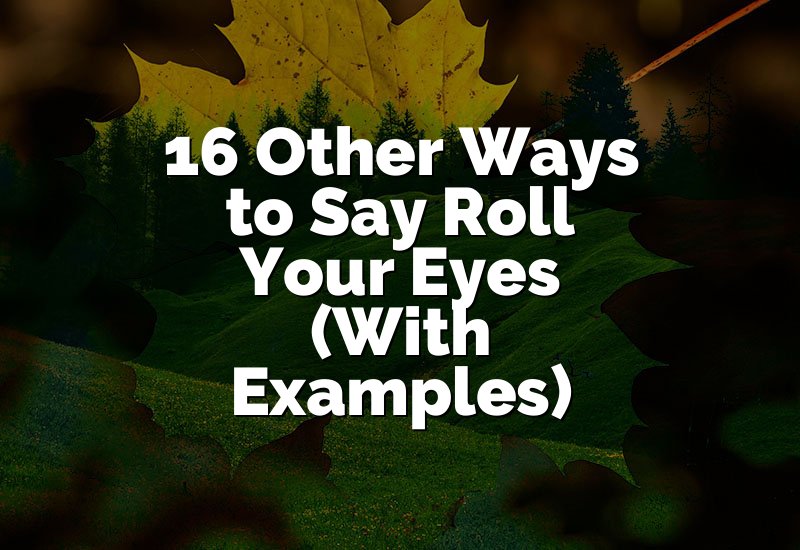 16 Other Ways to Say Roll Your Eyes (With Examples)