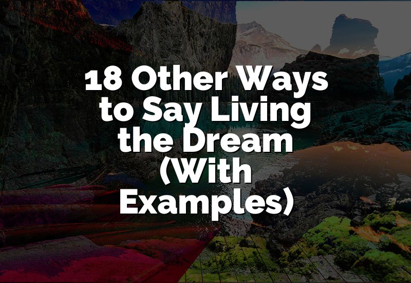 18 Other Ways to Say Living the Dream (With Examples)