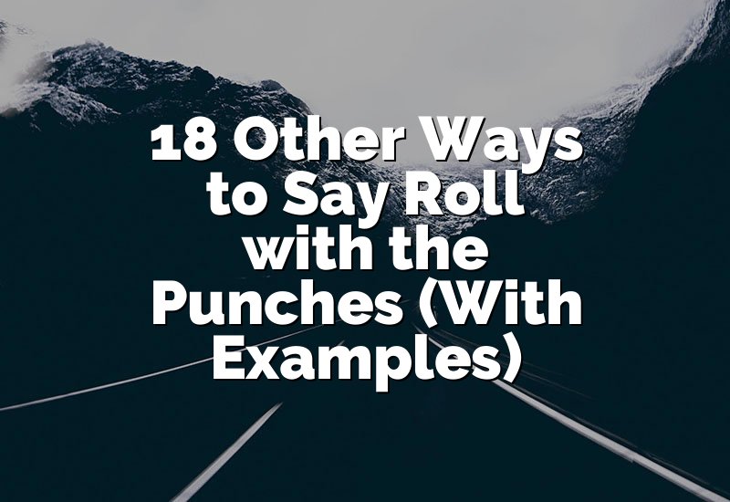 18 Other Ways to Say Roll with the Punches (With Examples)