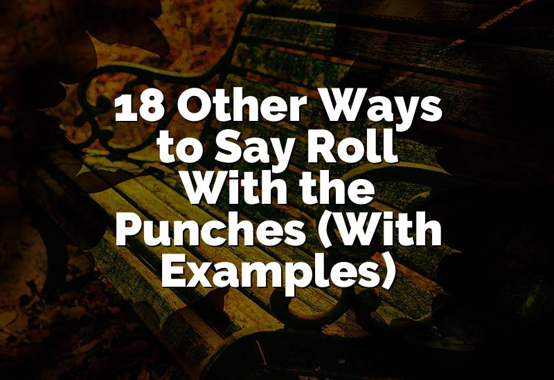 18 Other Ways to Say Roll With the Punches (With Examples)