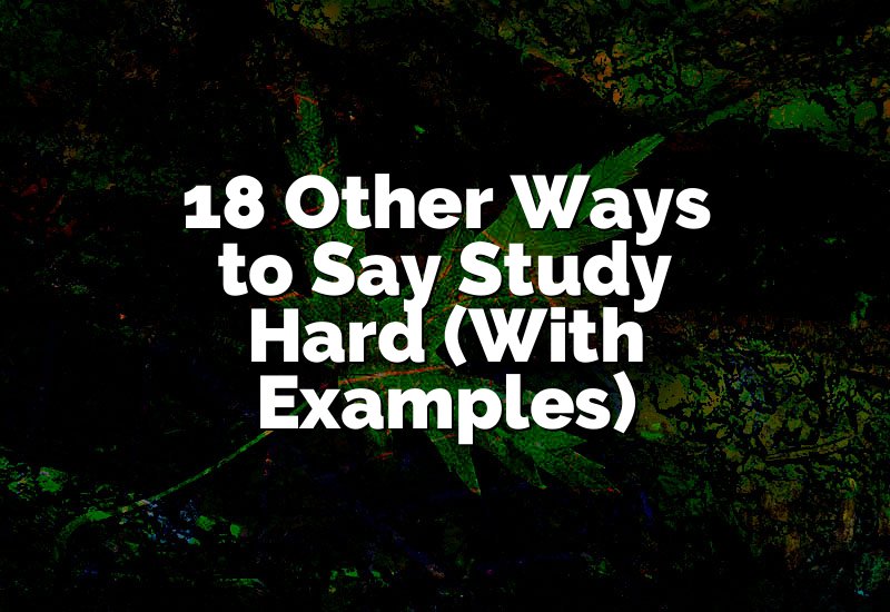 18 Other Ways to Say Study Hard (With Examples)