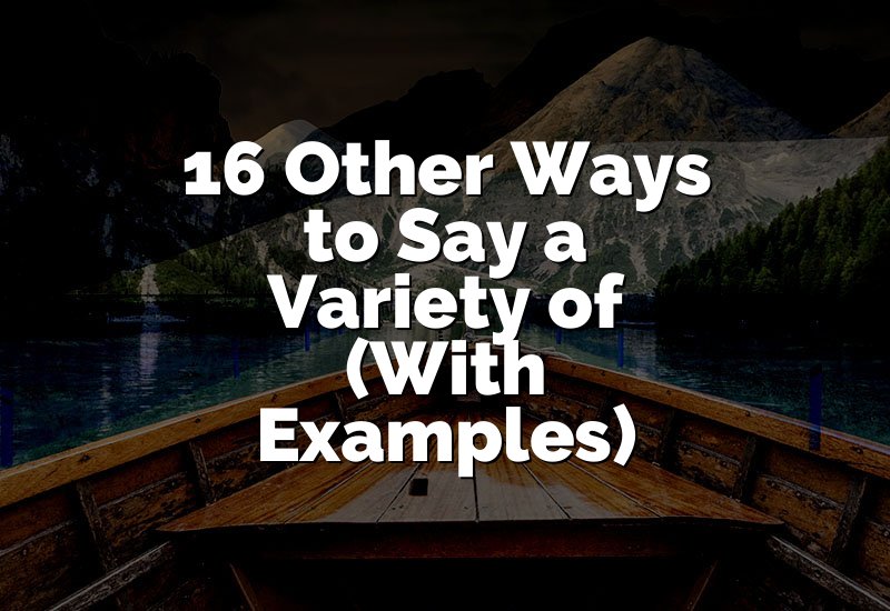 16 Other Ways to Say a Variety of (With Examples)