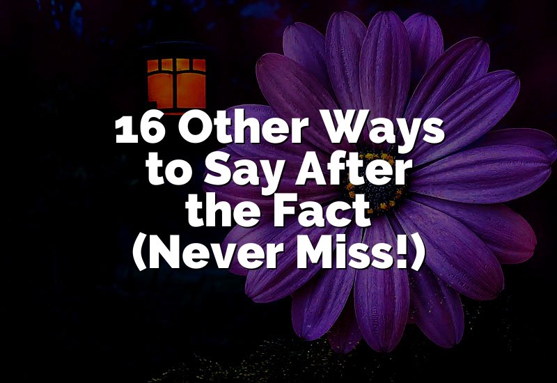 16 Other Ways to Say After the Fact (Never Miss!)