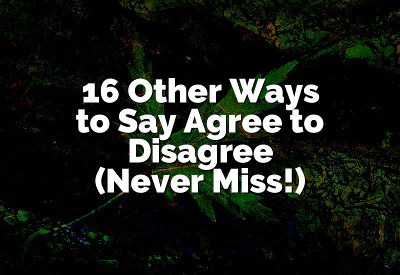 16 Other Ways to Say Agree to Disagree (Never Miss!)
