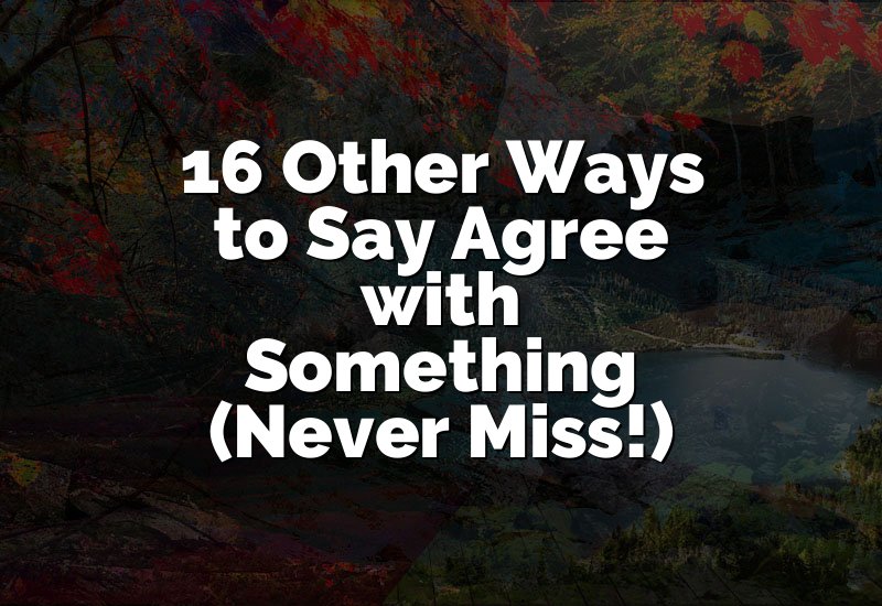 16 Other Ways to Say Agree with Something (JUST WOW!)