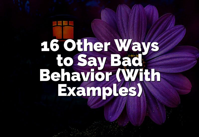 16 Other Ways to Say Bad Behavior (With Examples)