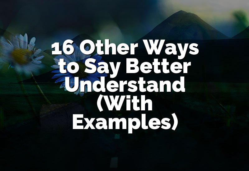 16 Other Ways to Say Better Understand (With Examples)