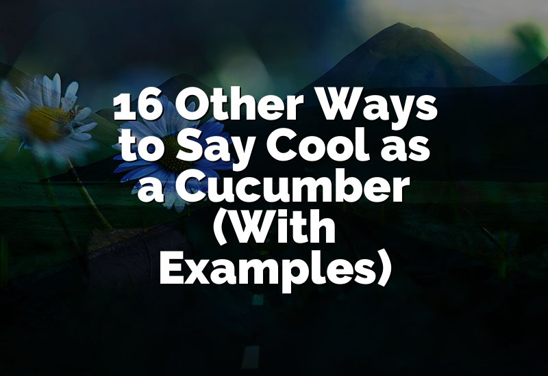 16 Other Ways to Say Cool as a Cucumber (With Examples)