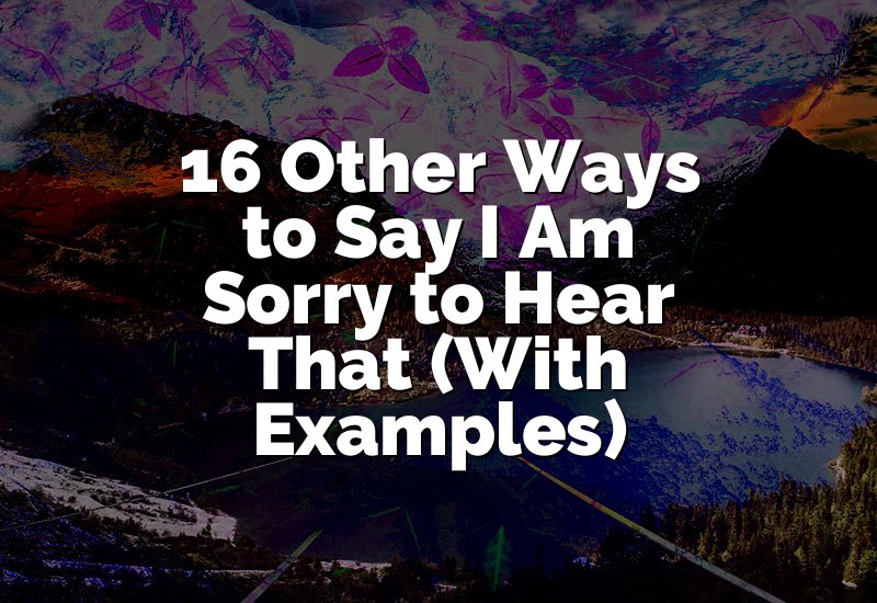 16 Other Ways to Say I Am Sorry to Hear That (With Examples)