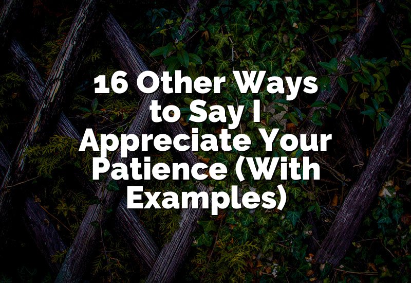 16 Other Ways to Say I Appreciate Your Patience (With Examples)