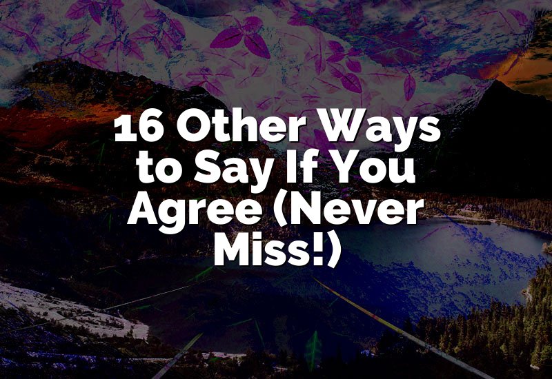 16 Other Ways to Say If You Agree (Never Miss!)